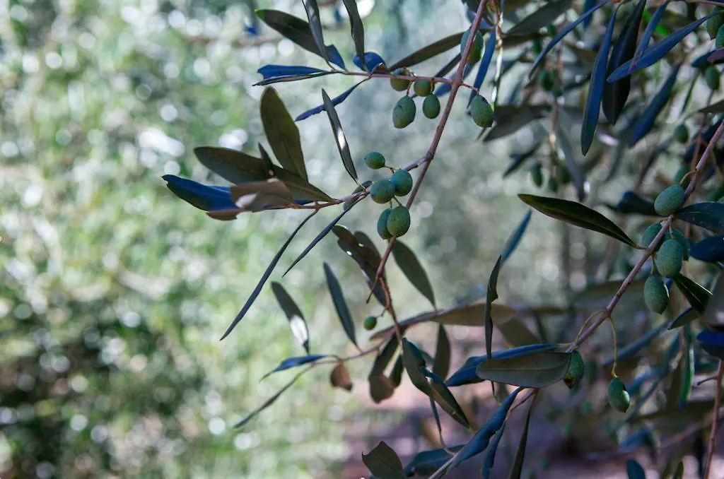 מלון ריו מרינה Experience Relais 